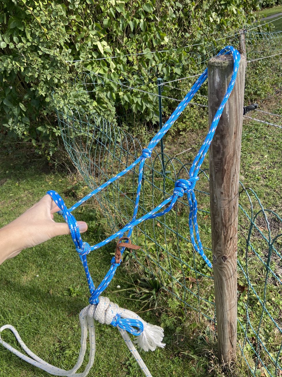 Paarden spullen