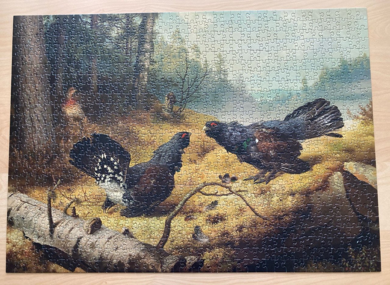 Puzzel met vogels