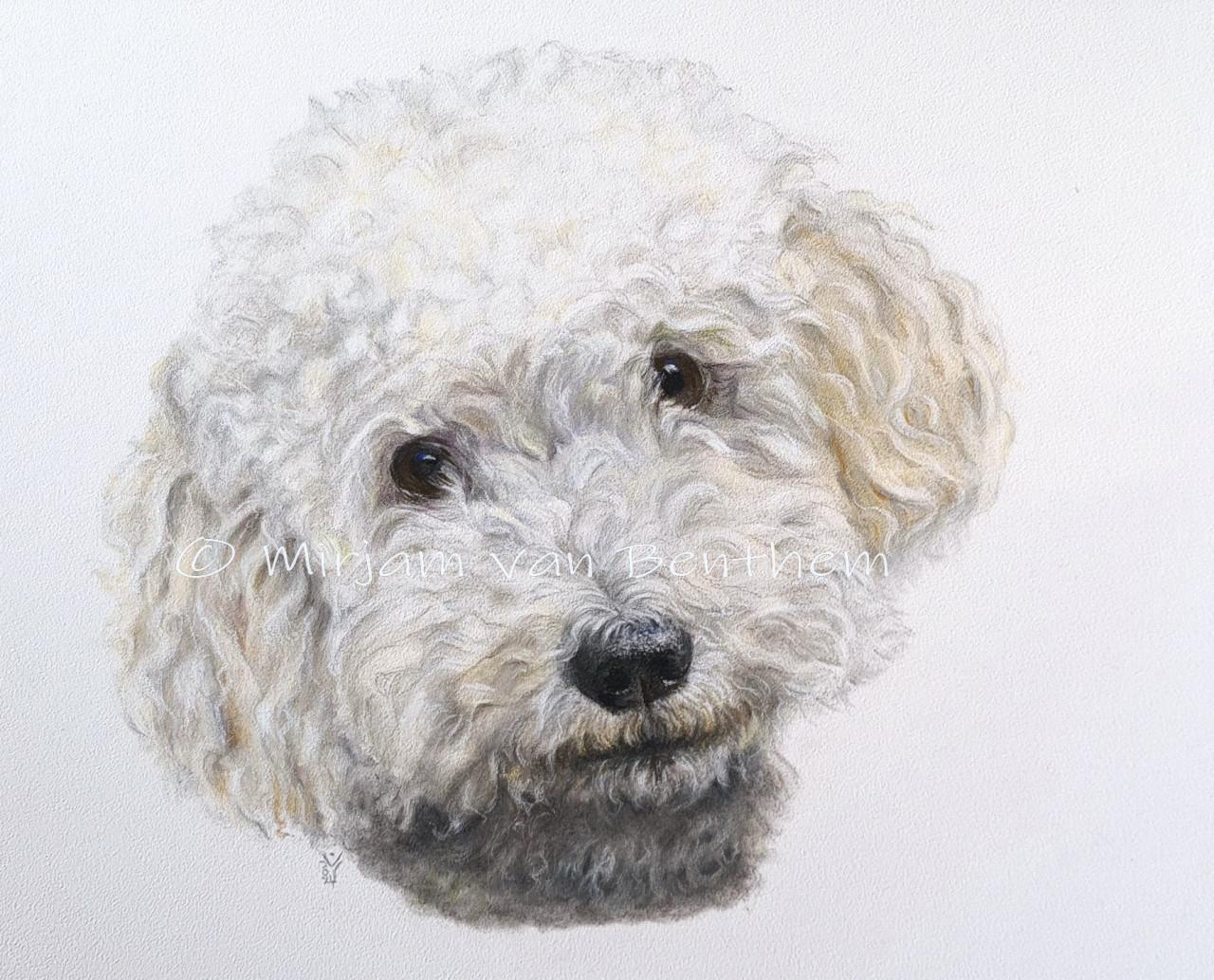 Dierportret in opdracht