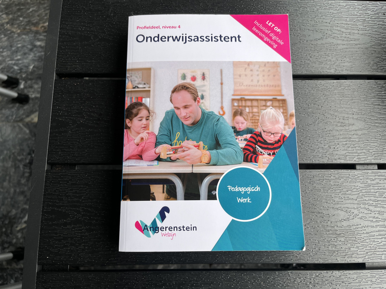 5 Schoolboeken Pedagogisch werk Angerenstein Welzijn