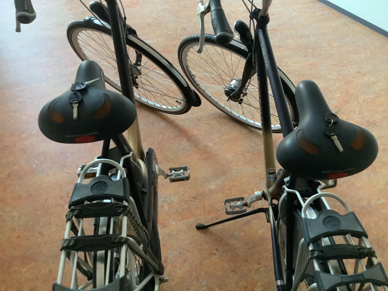 Set Batavus Legato fietsen