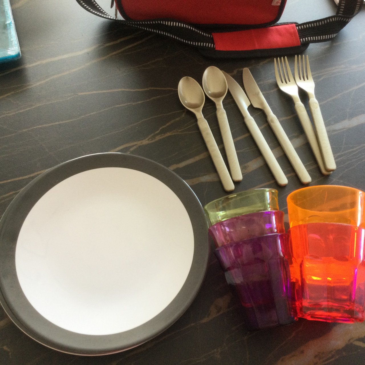 Picknick/koeltas