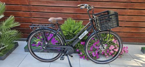 BSP Barista Damesfiets