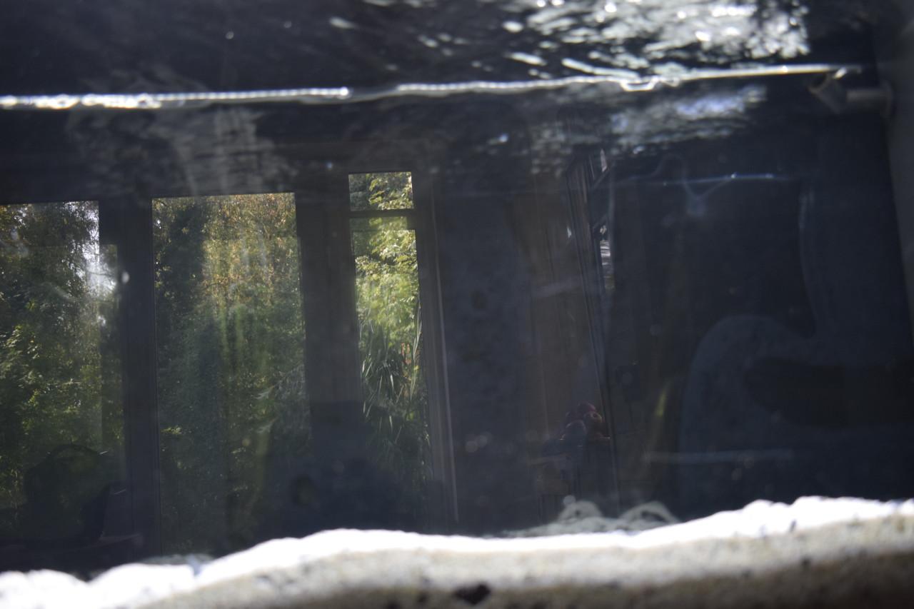 Aquarium jewel Rio plus kast