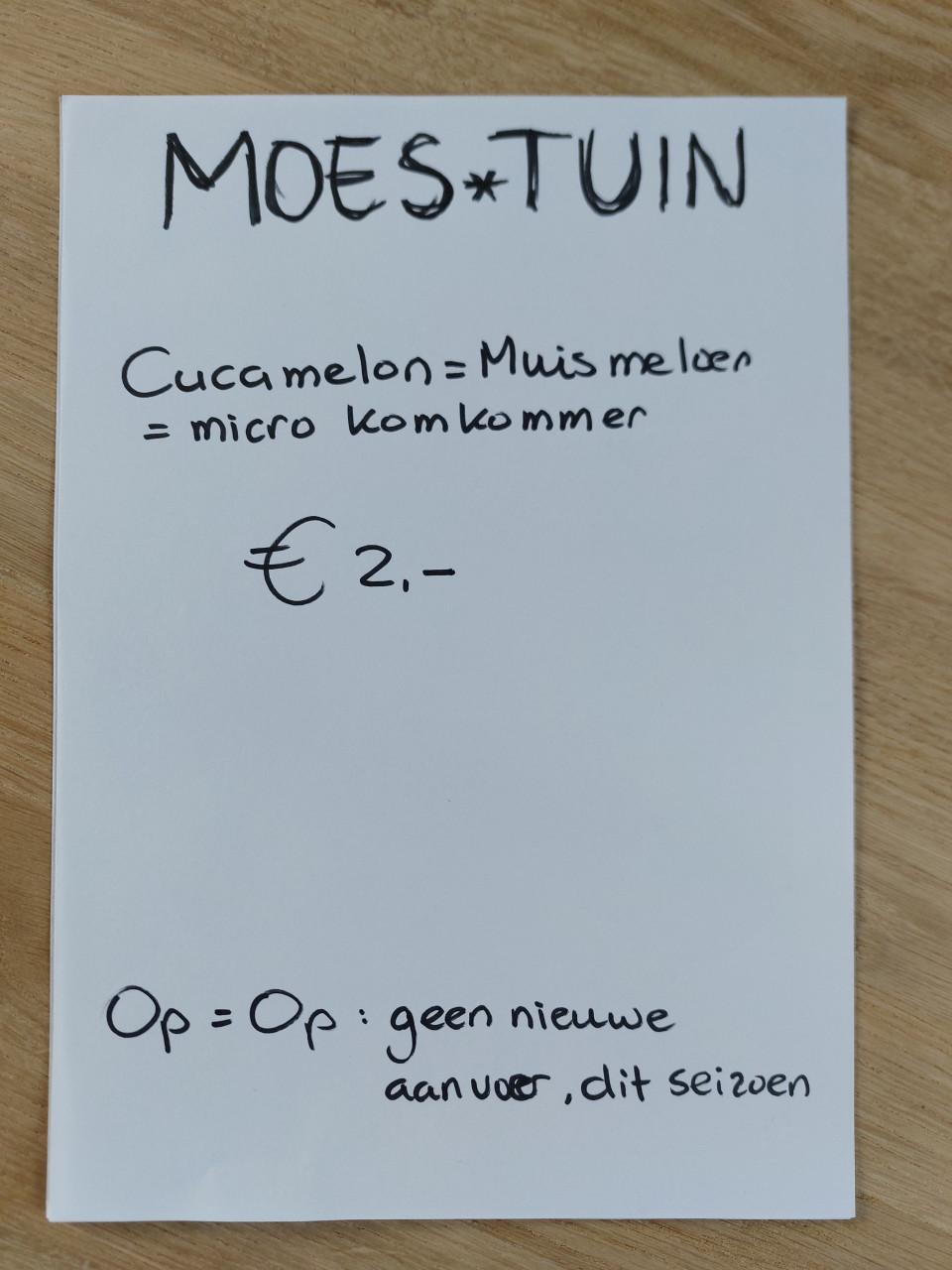 SIERTUIN en MOESTUIN PLANTEN BIJ DE VOORDEUR