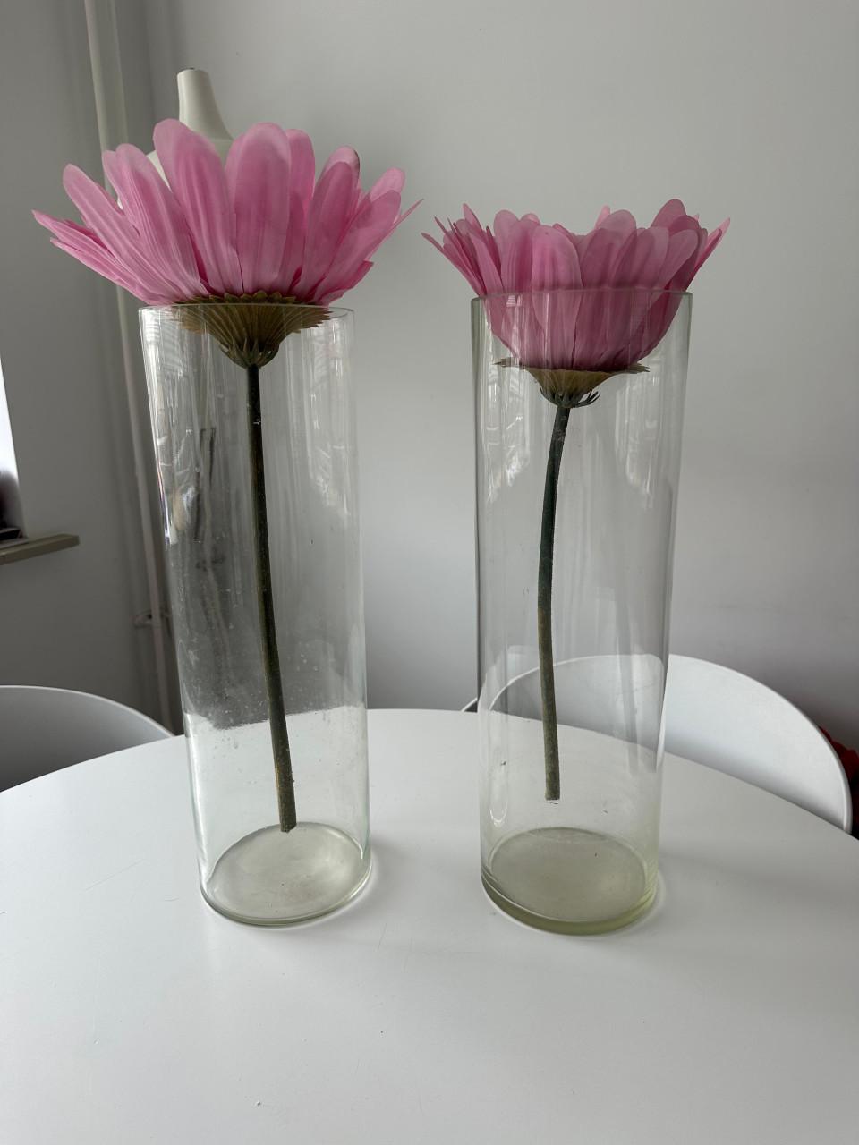 Set van 2 vazen zgan!