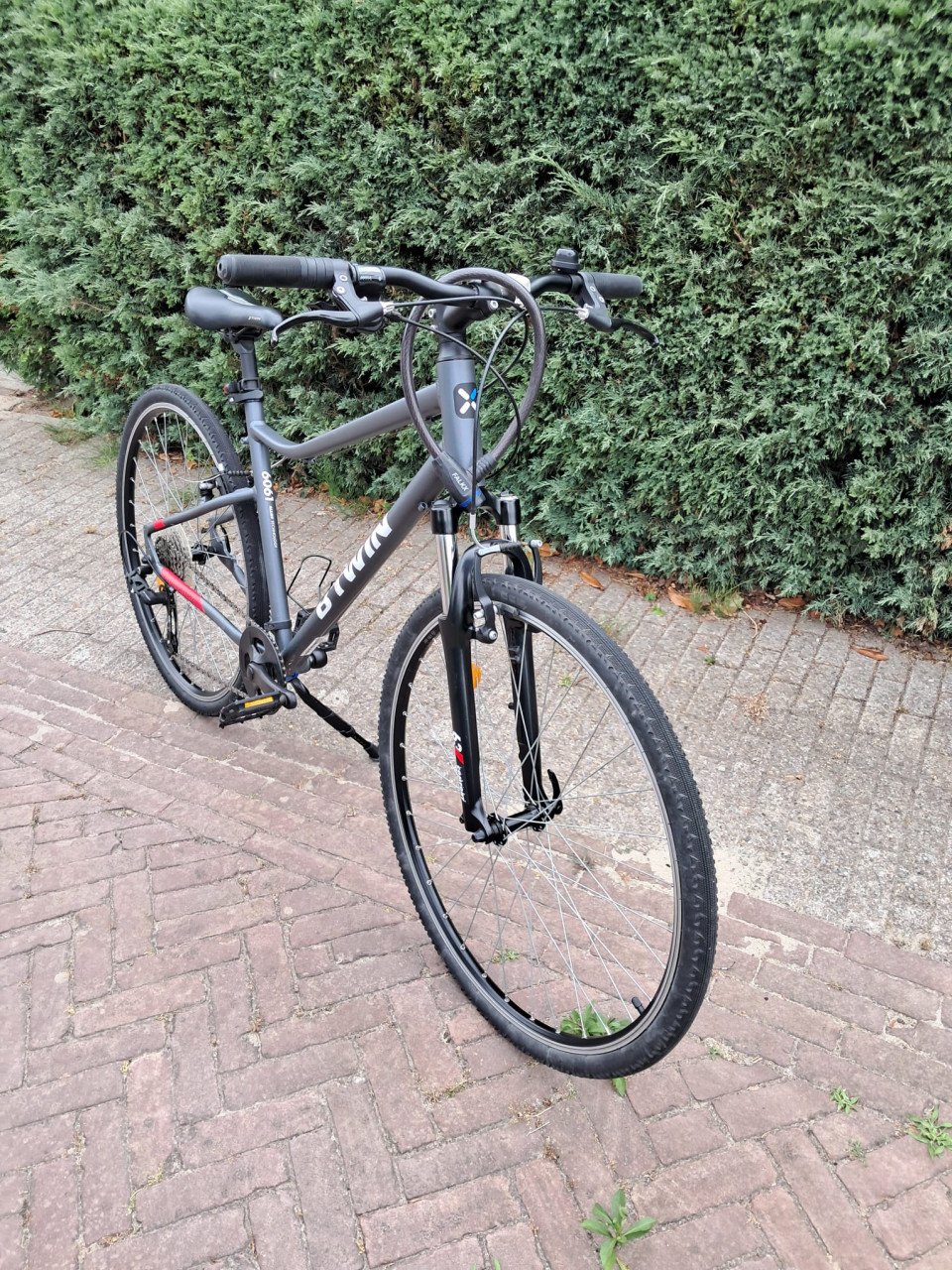 Mooie B Twin Riverside 500 mountainbike M