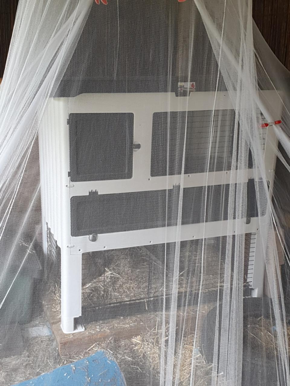 Ons konijn Pluisje is erg eenzaam na het overlijden van zijn maatje