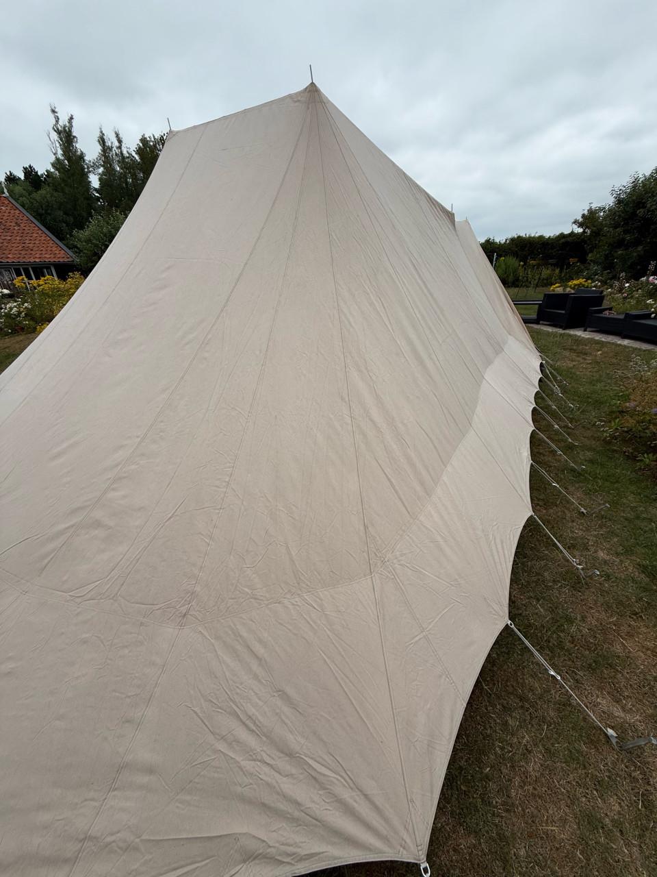 De waard tent vergrote zilvermeeuw met dicht te ritsen luifel