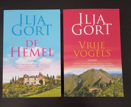 2 boeken van Ilja Gort
