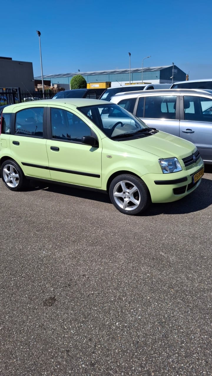 Fiat panda 1.2 dynamic groen