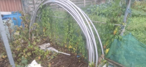 Moestuin