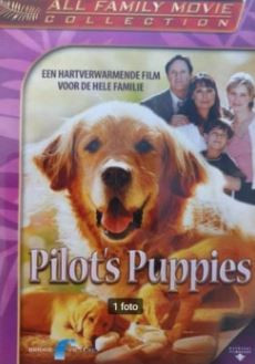 Pilots Puppies