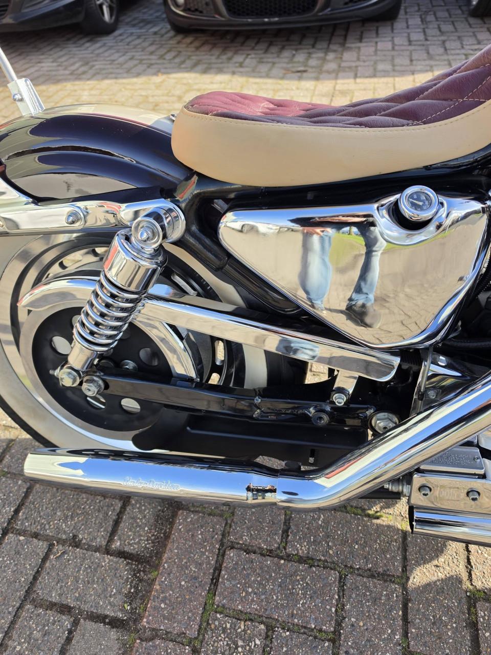 Harley-Davidson 1200😍 Custom Sportster – 95th Anniversary Edition