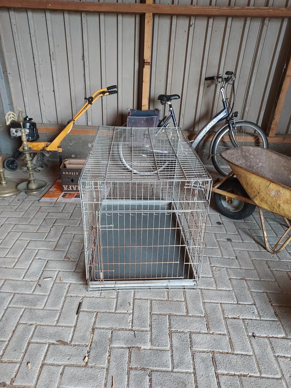 Honde bench groot