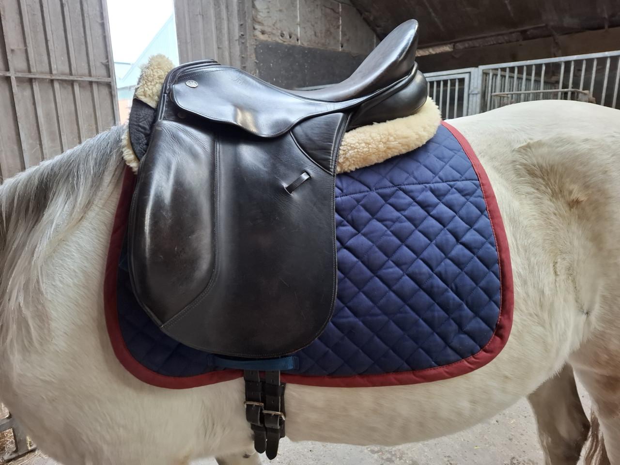 🐴 Kieffer Lech Profi dressuurzadel te koop 🐴