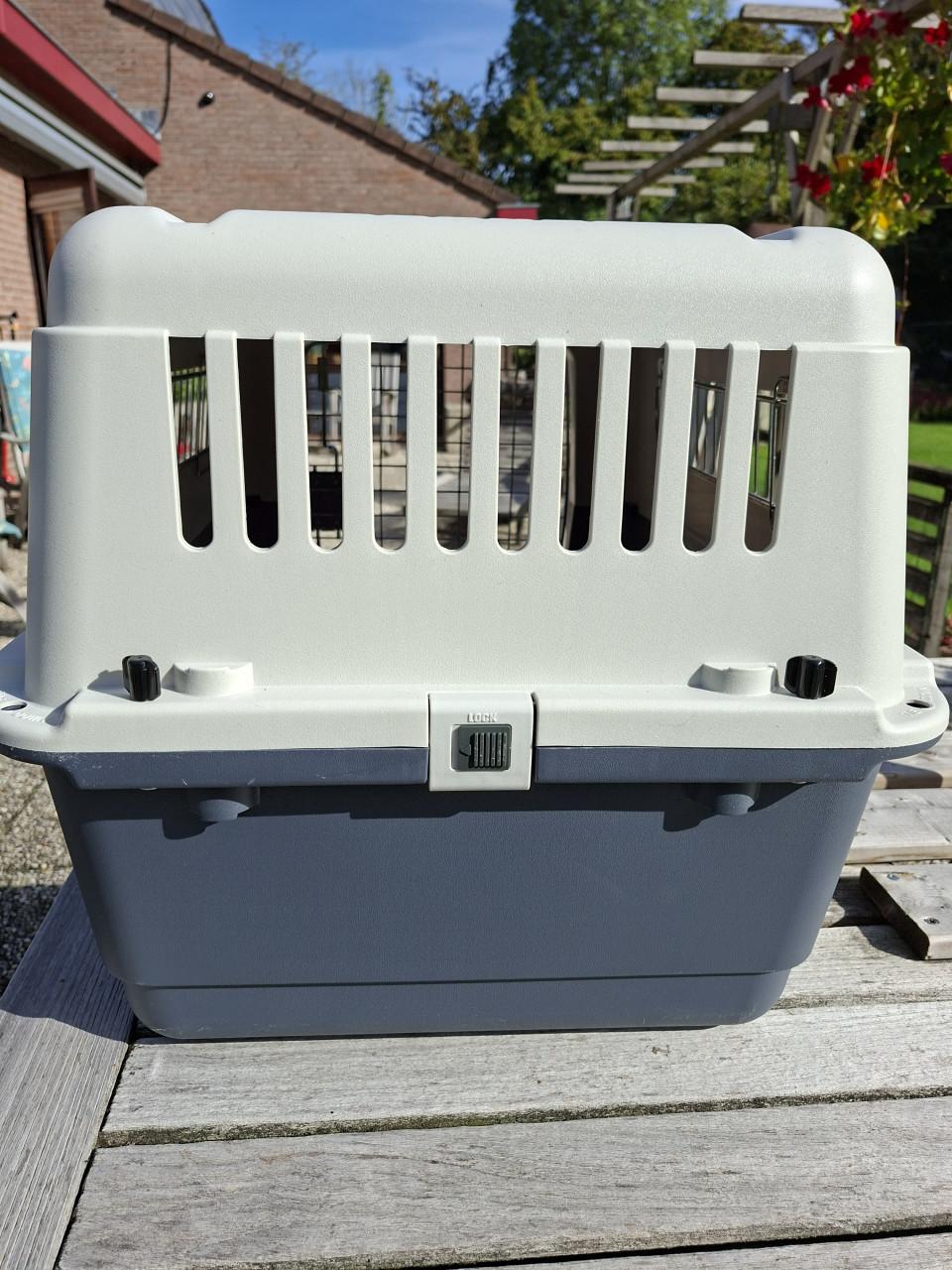 Bench hond