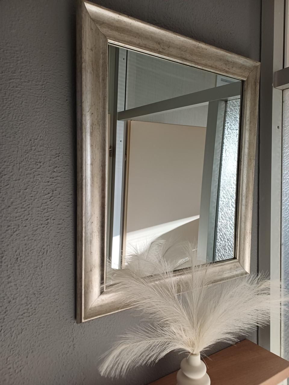 Nette Spiegel 74 / 63