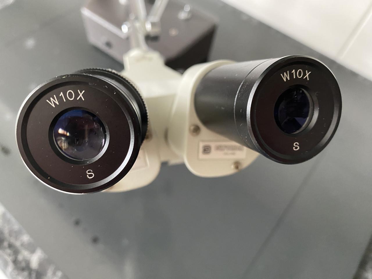 Euromex stereomicroscoop type BML met verwisselbare lens