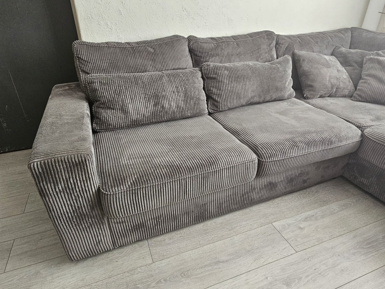 Grijze rib hoekbank