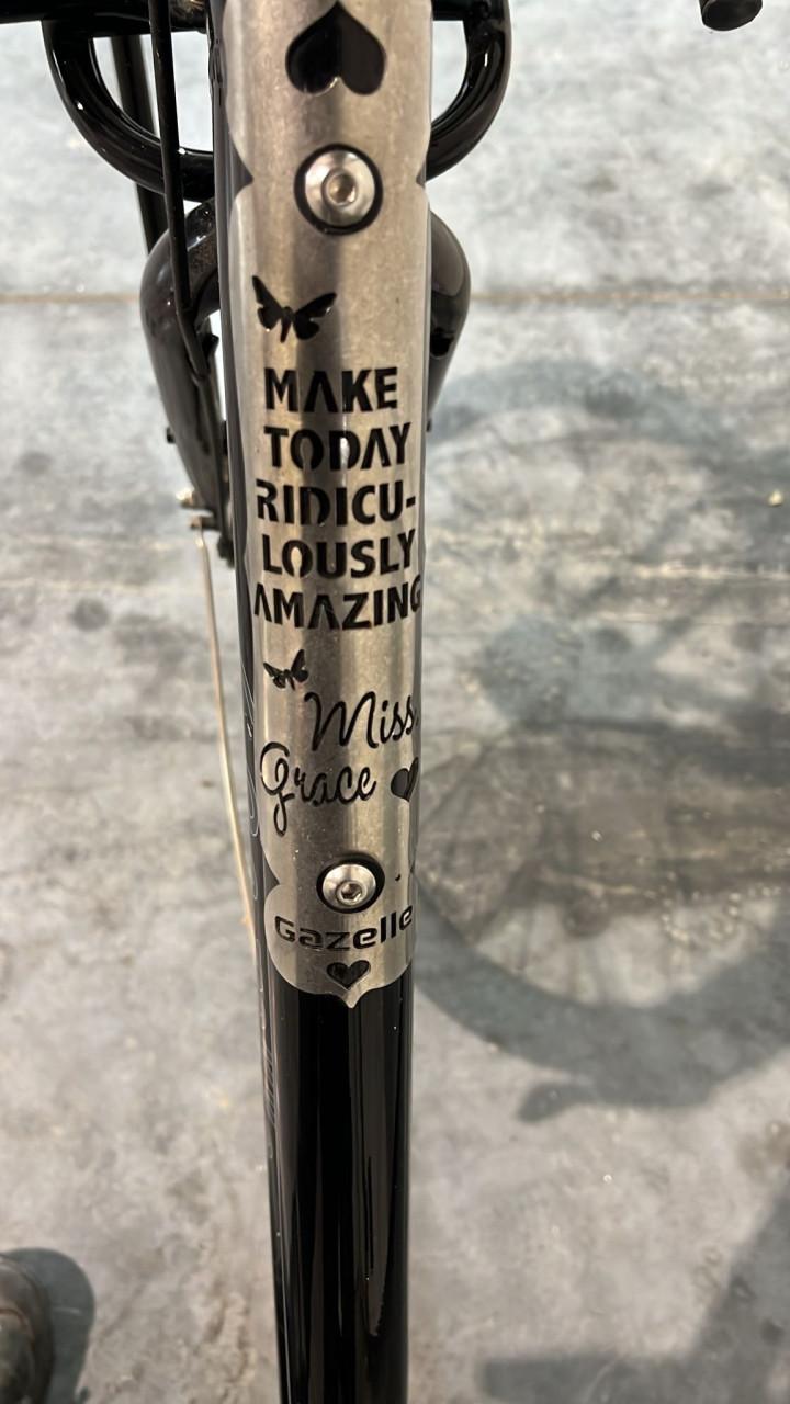 Fiets gazelle miss grace