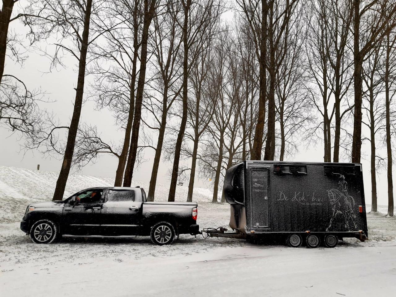 Paardentransport