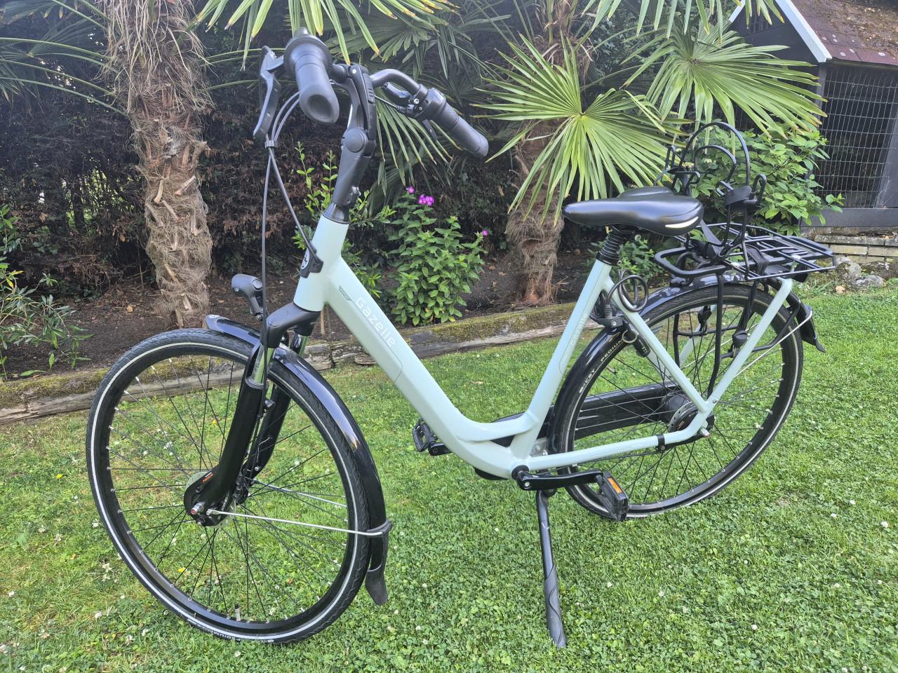 Gazelle orange c7+