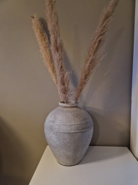 Still pot