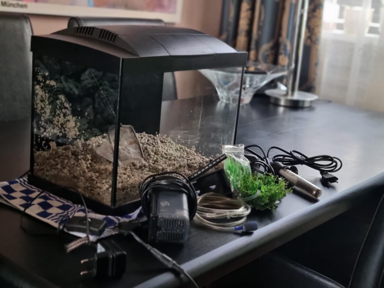 Aquarium met een kast en nog een klein Aquarium zonder kast.