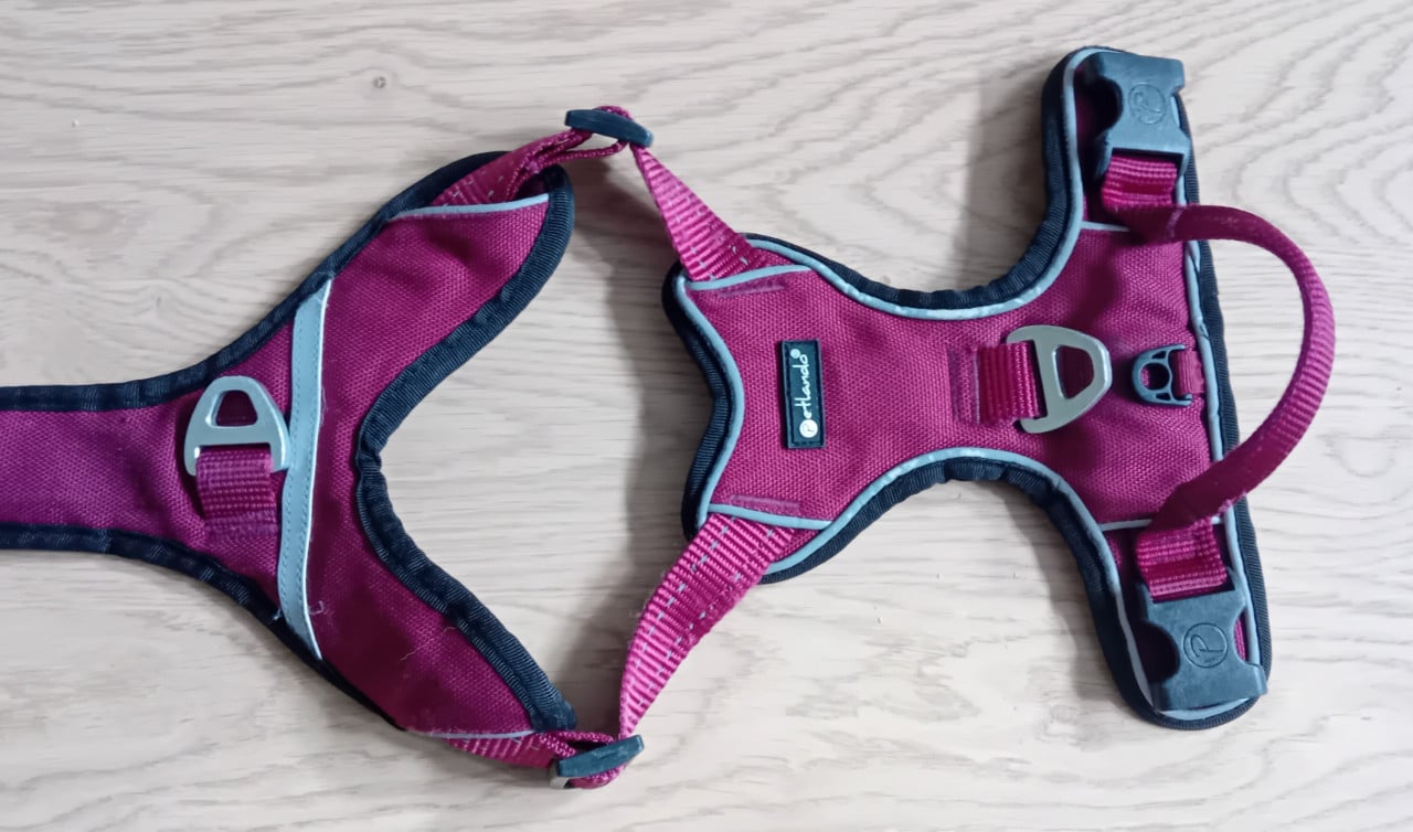 Tuigje hond, maat S