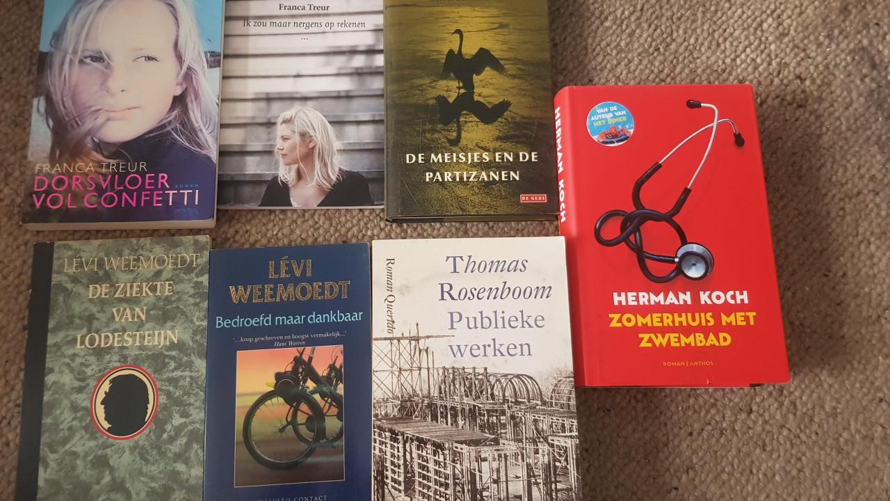 Partij Nederlandse romans