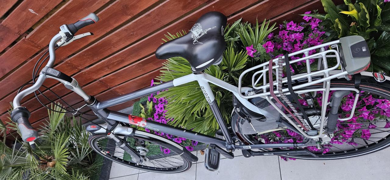 Gazelle Eclipse Limited 65 cm Herenfiets