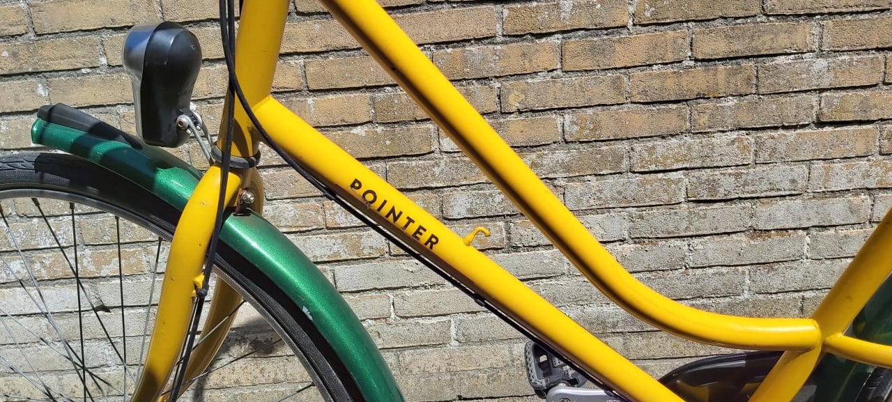 Pointer dames fiets