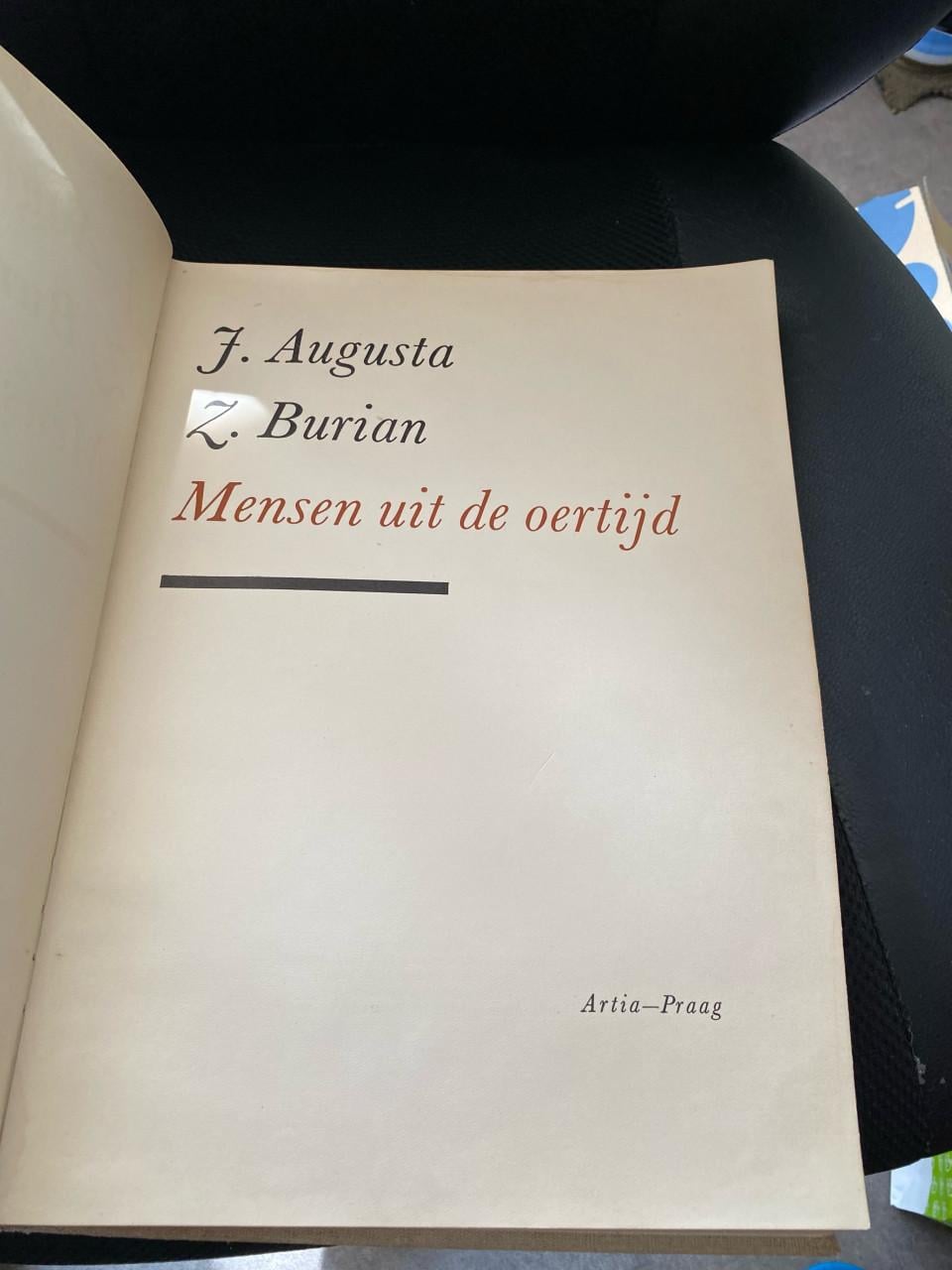 Boek uit de oertijd