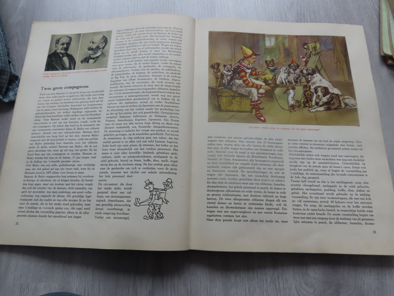 Plaatjes boek bonte droom van het circus
