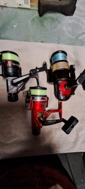 Te koop 3 molentjes
