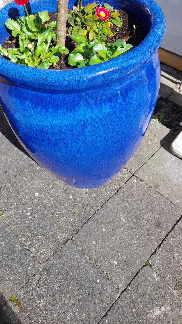 Plantenpot voor buiten