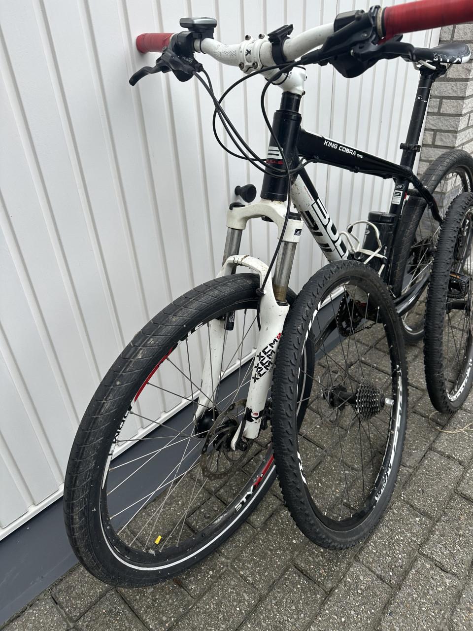 Bulls Kings Cobra Disc