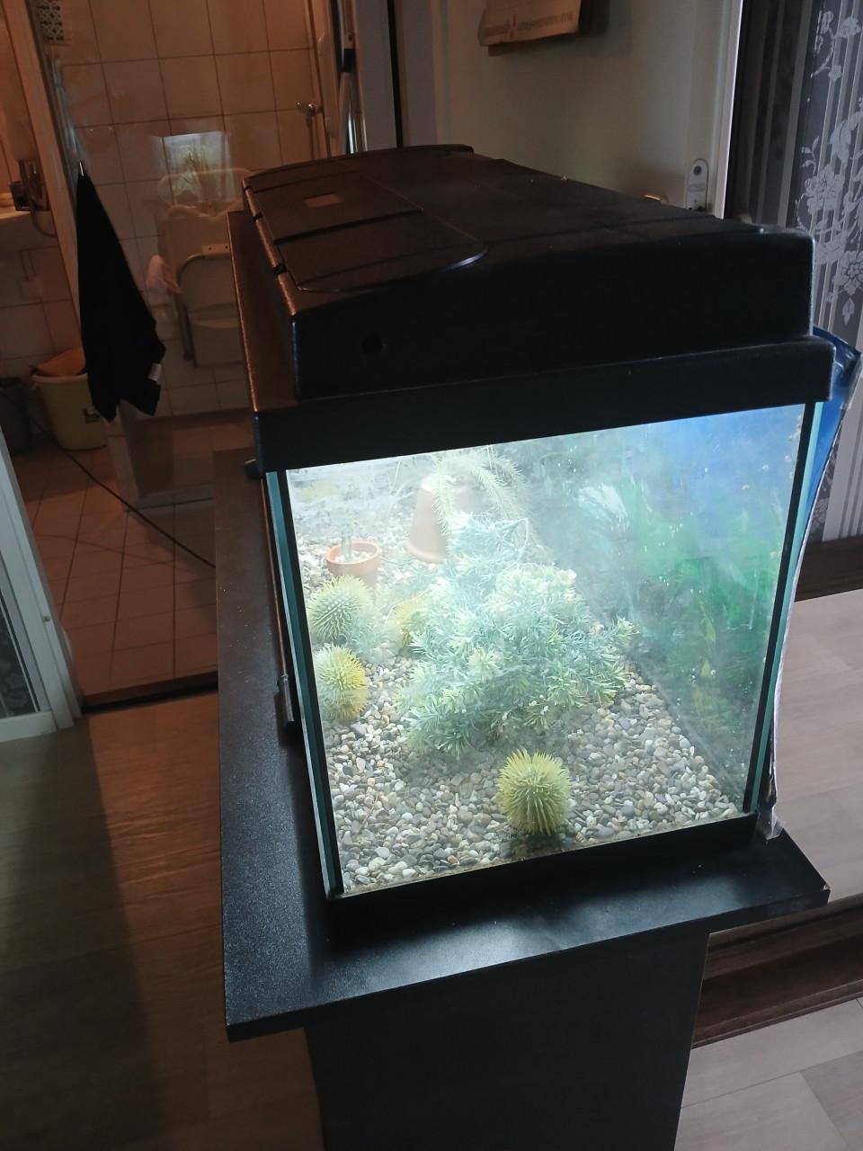 Aquarium met gratis accessoires