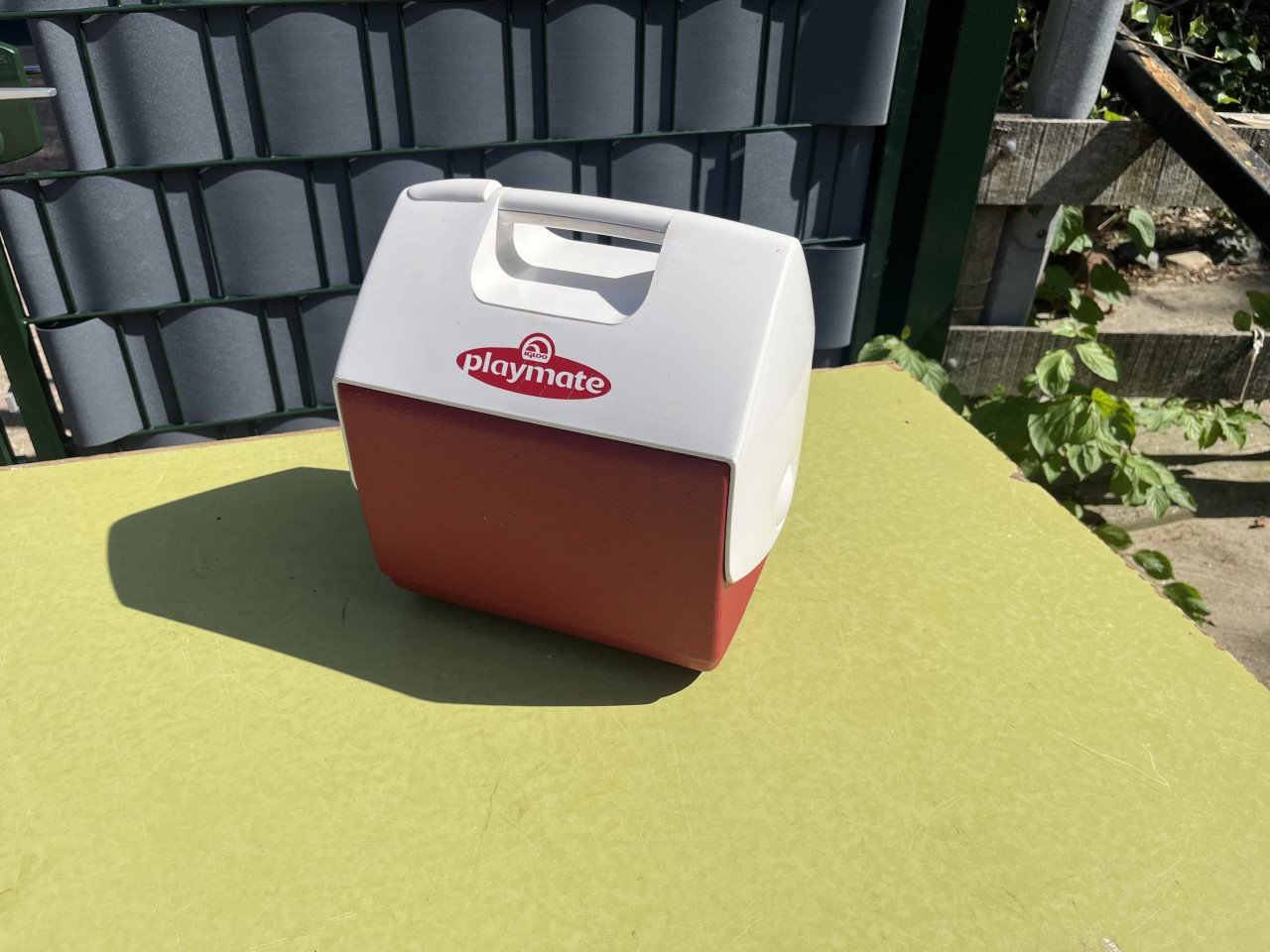Igloo koelBox playmate elite 15,2 liter rood