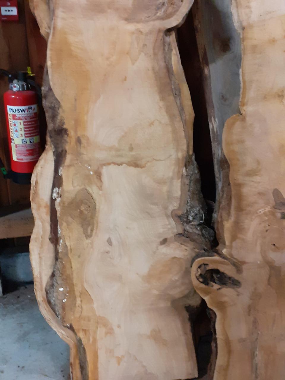 Brede kersen plataan essen boomstambladen 2 + 1 gratis