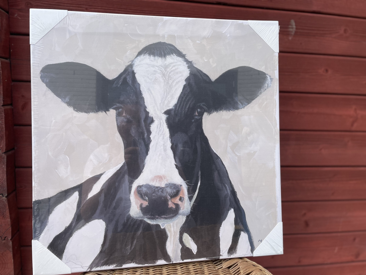 3x NIEUWE Schilderij Koe ❤️🤍💙 in ongeopende verpakking!!!