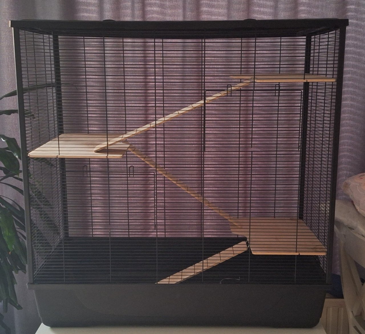 Chinchilla-/hamsterkooi 100x54x100