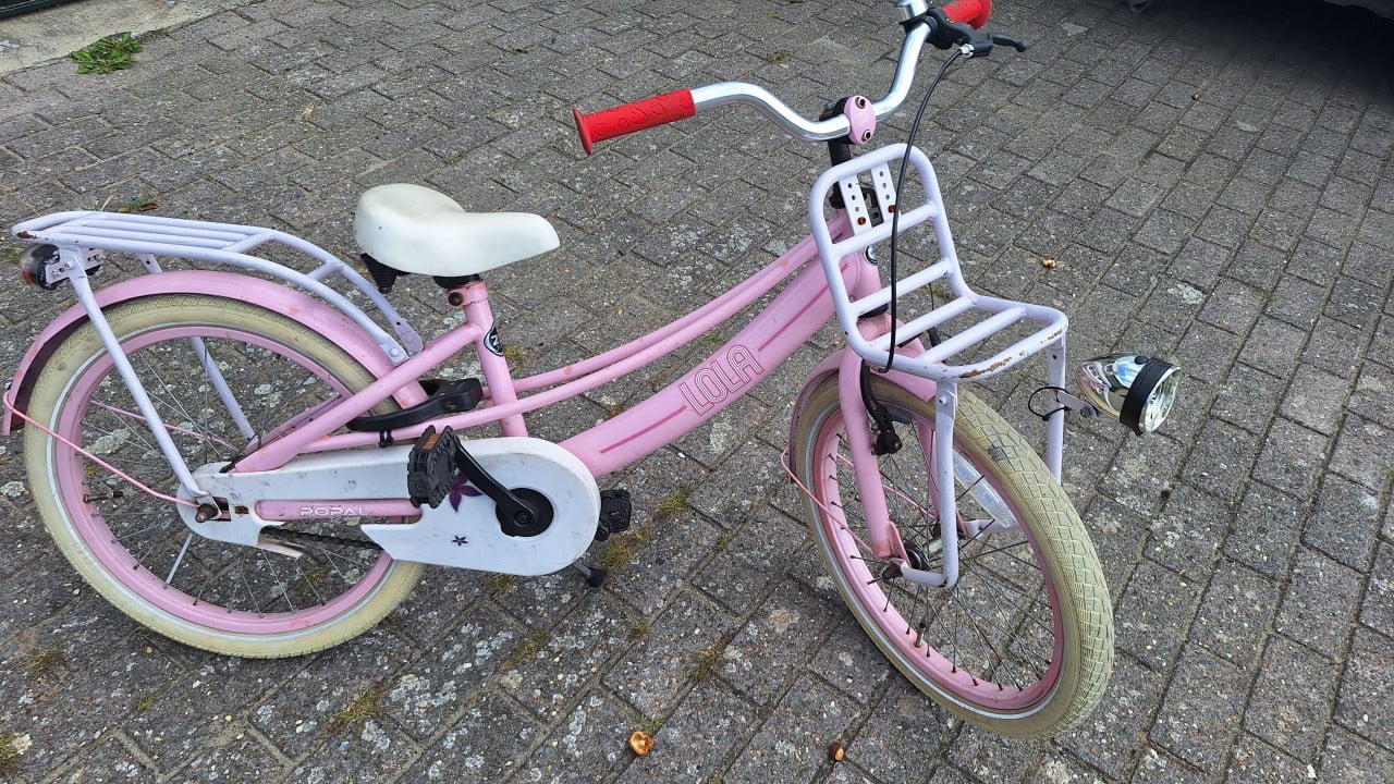 Roze meisje fiets 22 inch