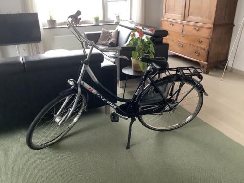 Keurige Batavus Holiday