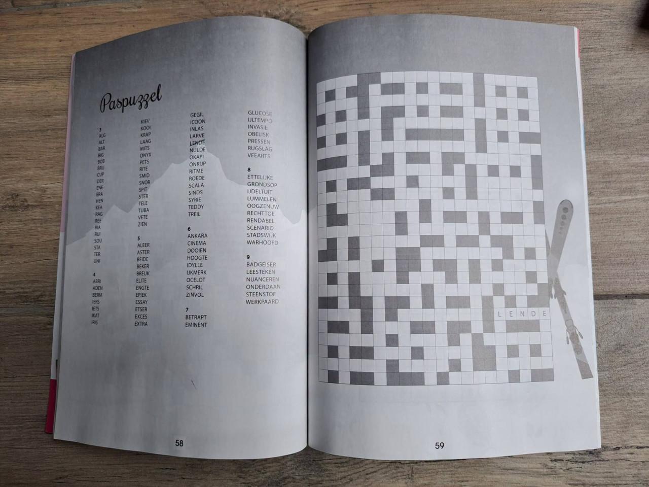 Vriendin puzzelboek
