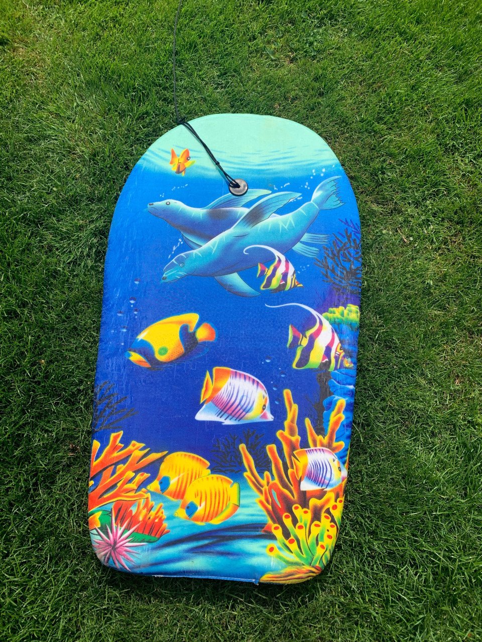 Waveboard/ bodyboard