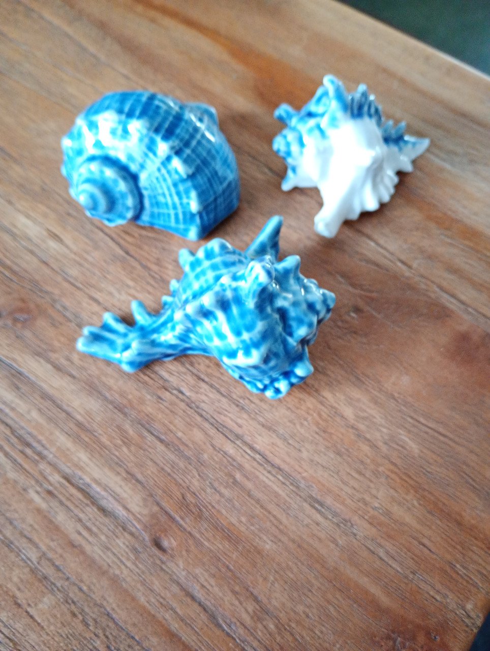 Decoratieve schelpen. 3 stuks