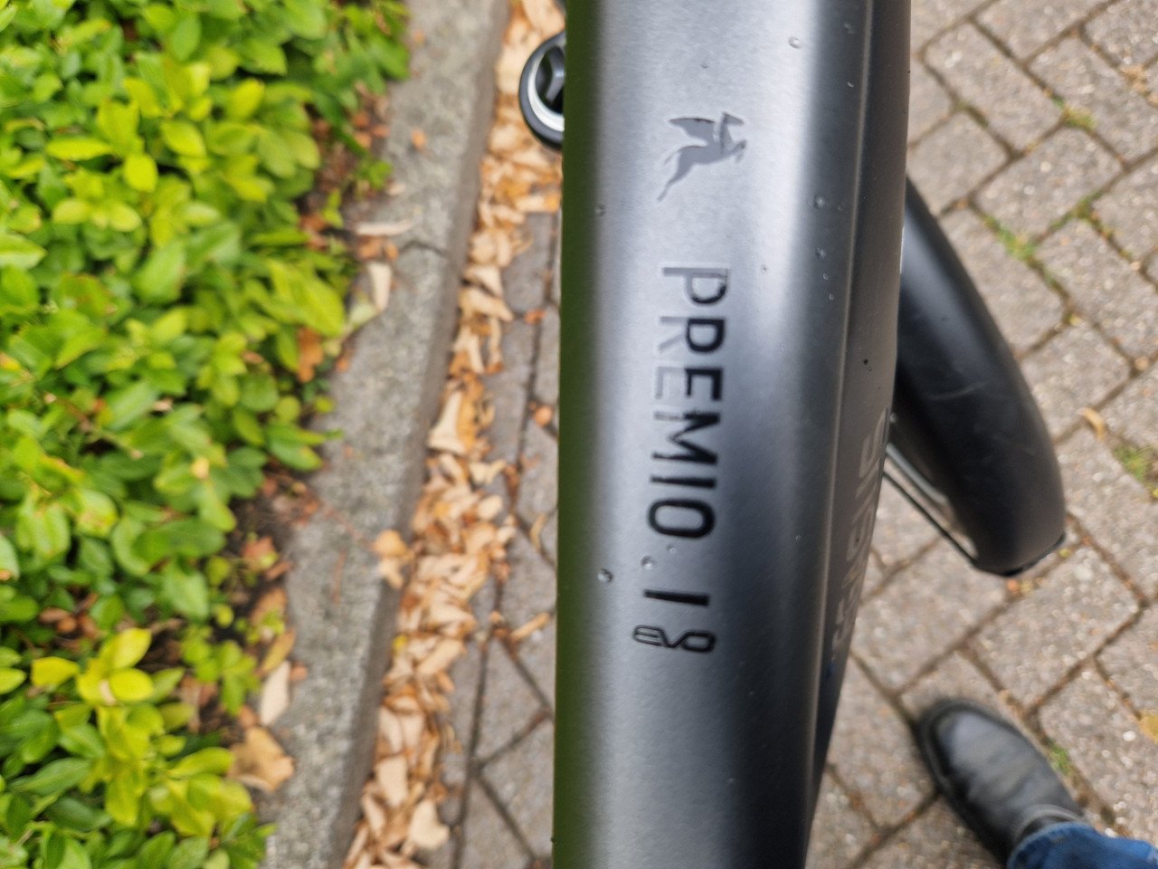 NIEUWE Pegasus Premio Evo met Bosch Performance CX middenmotor