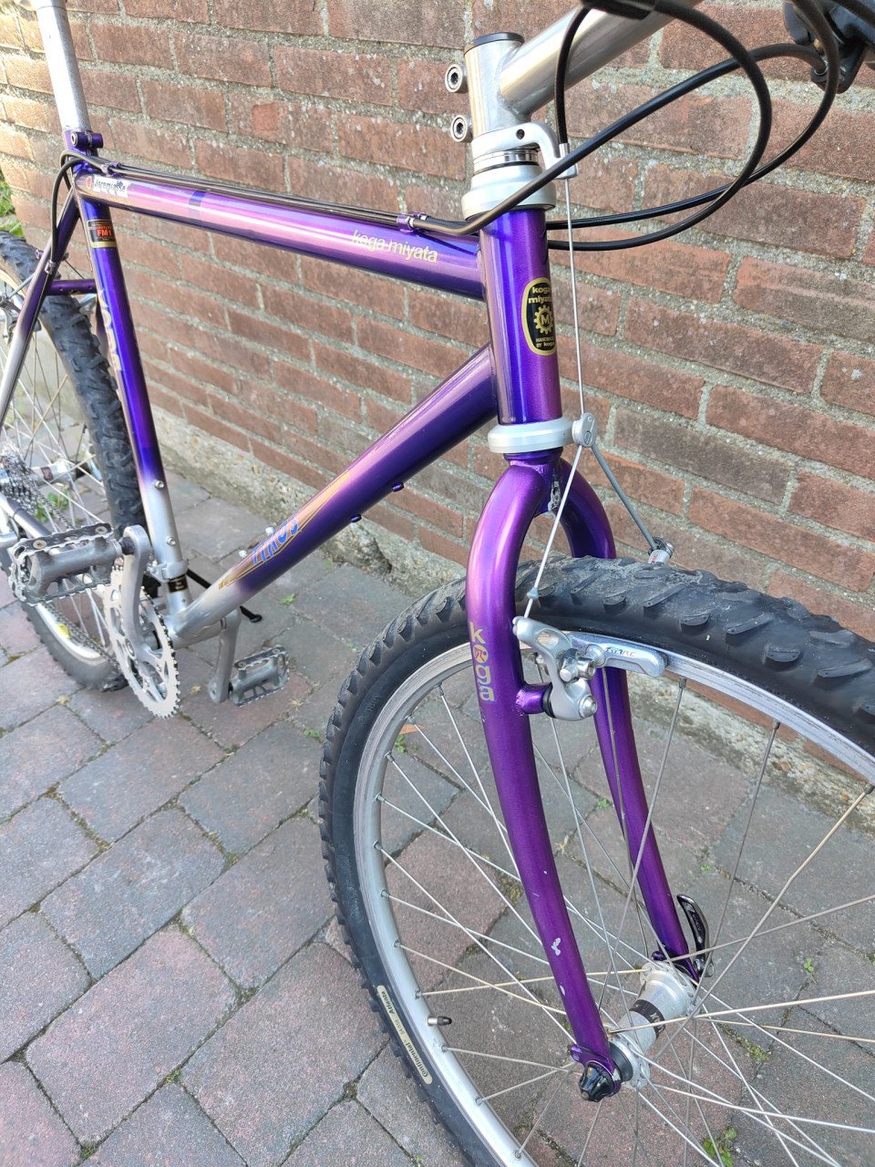 Koga Tiros 21 versnellingen titanium stuurpen Mavic velgen